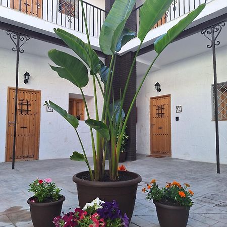 Suite San Mateos 15 Jerez de la Frontera Ngoại thất bức ảnh