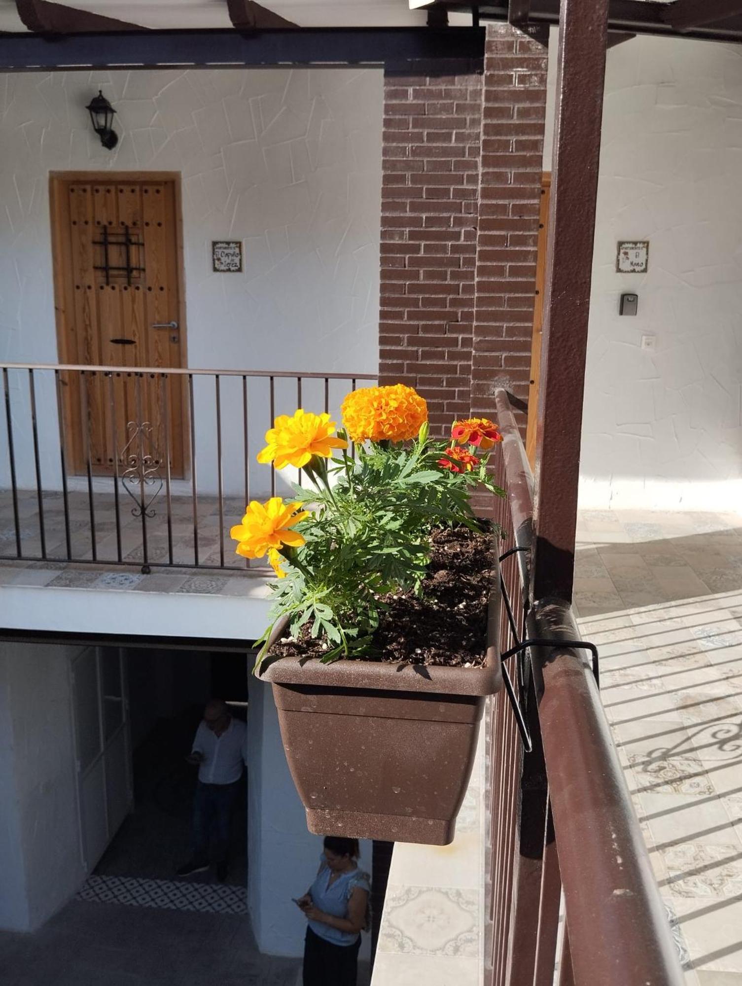 Suite San Mateos 15 Jerez de la Frontera Ngoại thất bức ảnh